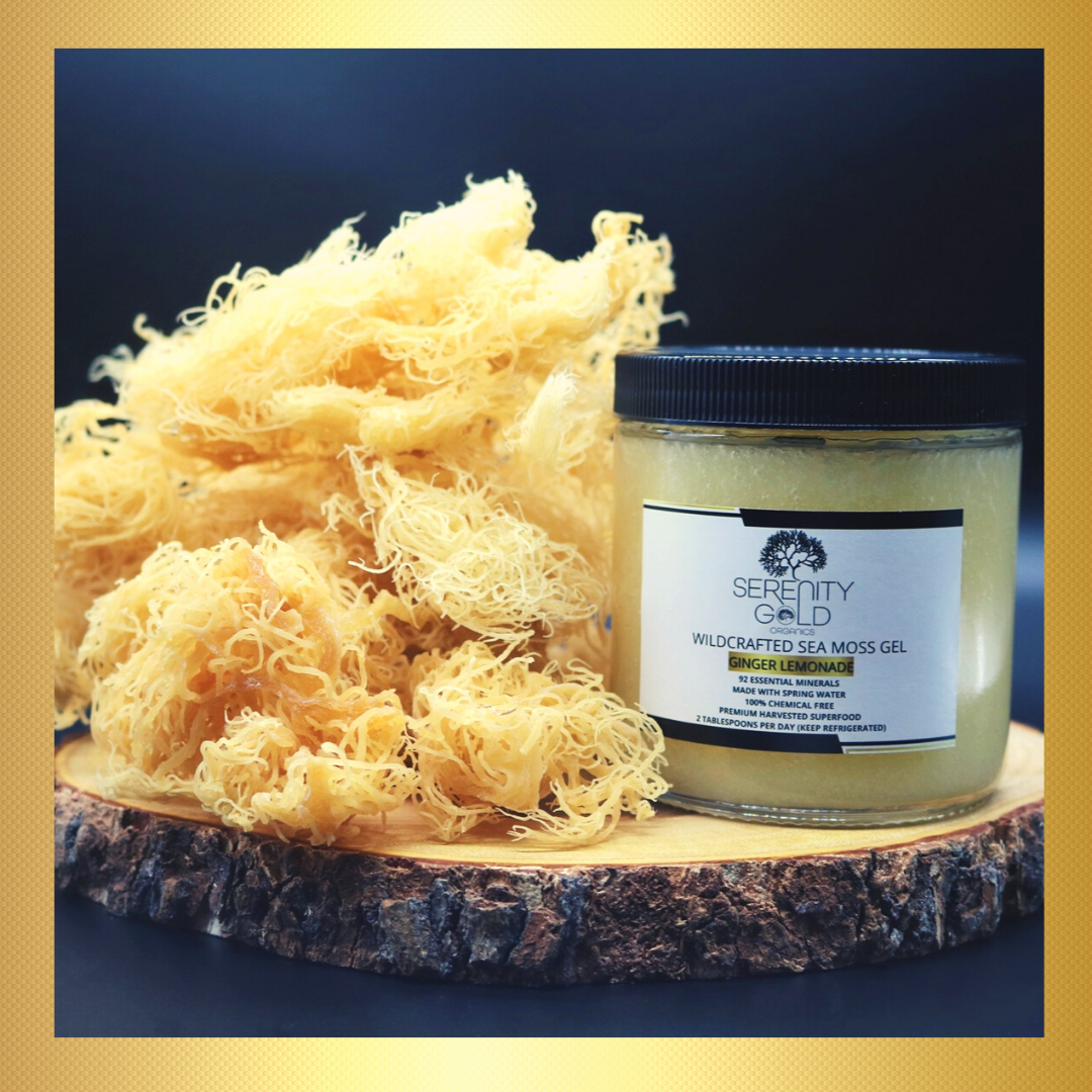 Wildcrafted Sea Moss Gel - GINGER LEMONADE (Ginger Lemon Wildcrafted Sea Moss Gel - GINGER LEMONADE (Ginger Lemon