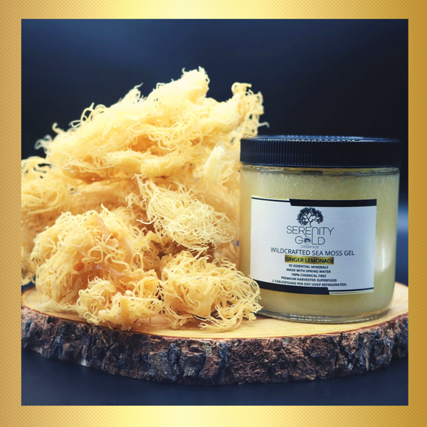 Wildcrafted Sea Moss Gel - GINGER LEMONADE (Ginger Lemon)