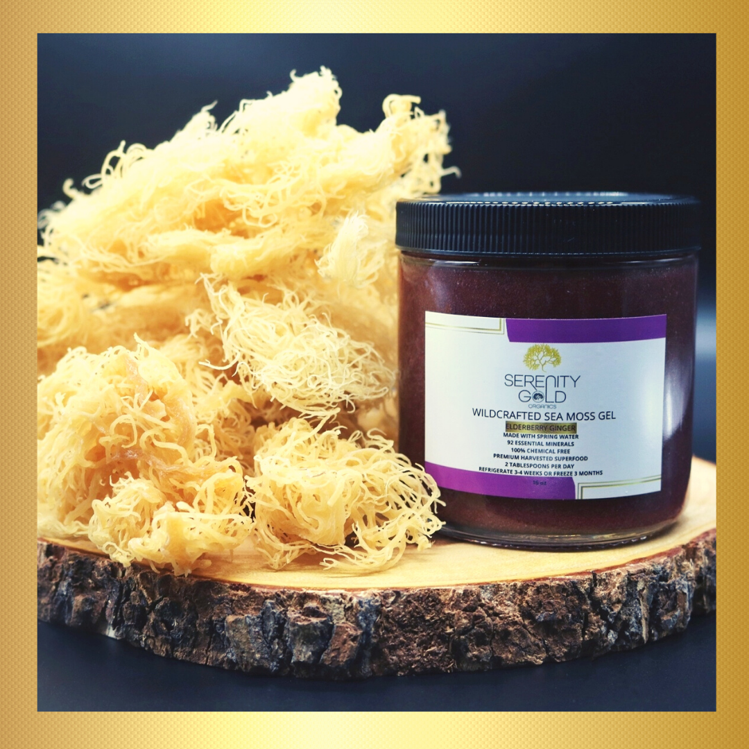 Wildcrafted Sea Moss Gel - IMMUNITY (Elderberry Ginger) – Serenity
